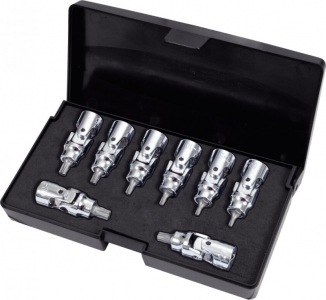 TORX-Bit-Stecknuss-Satz mit Gelenk