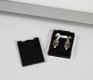Weide-Starter-Modul