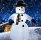 Mr. SnowBob