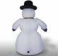 Mr. SnowBob